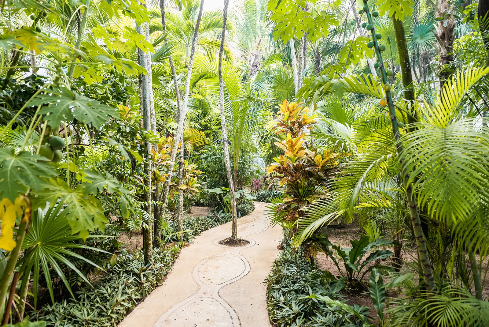 Sombras del viento tulum villa rmoceanfrontrentals