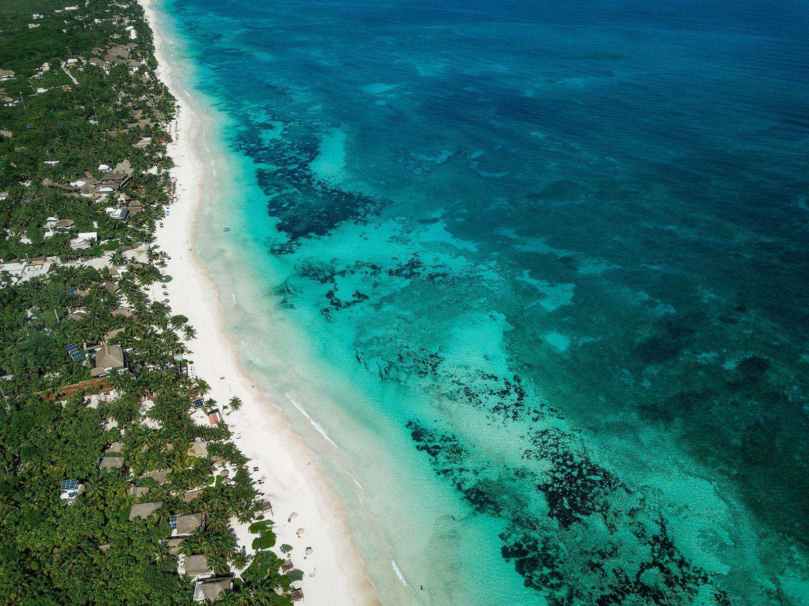 casa de las palmas 14