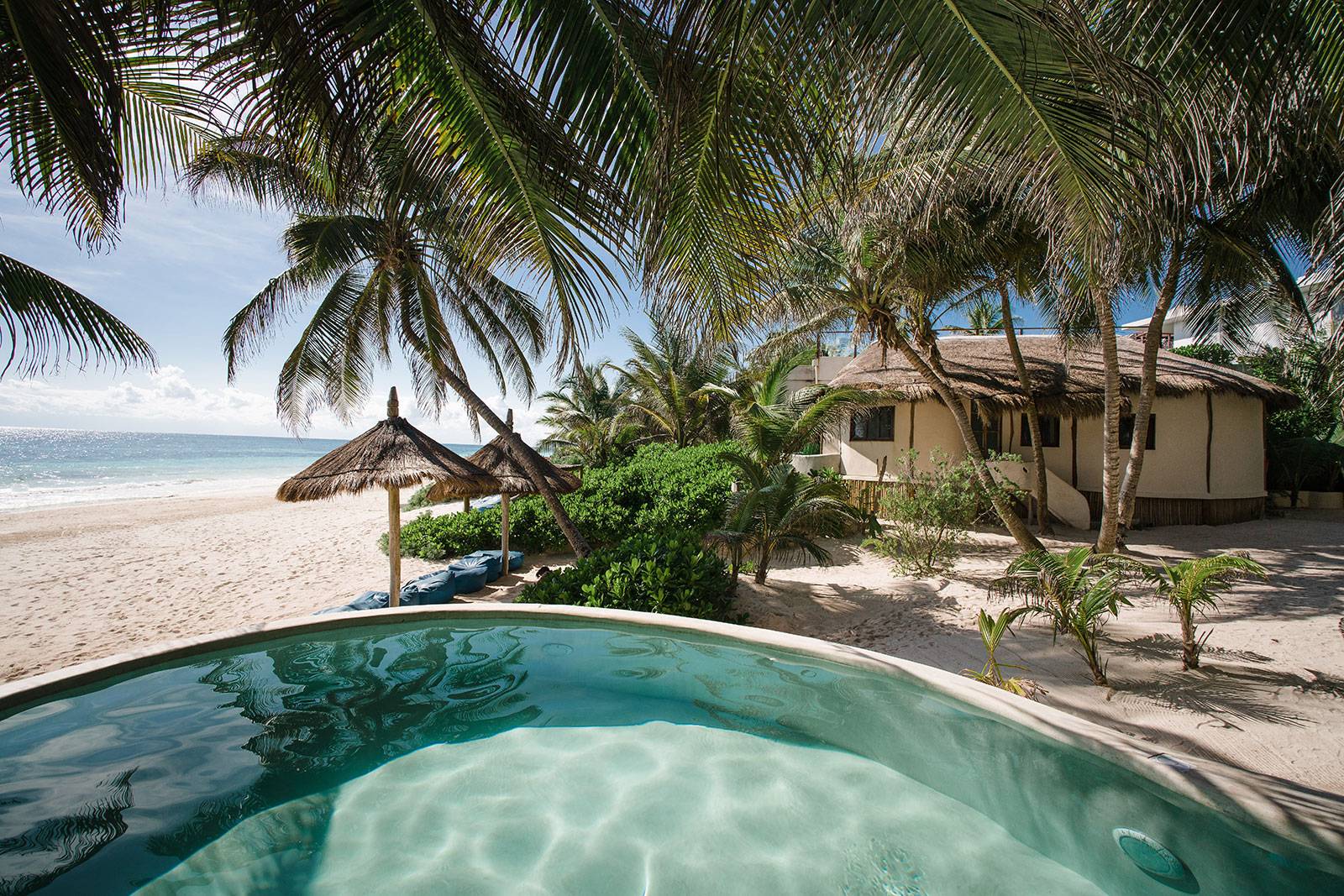 casa de las palmas 2